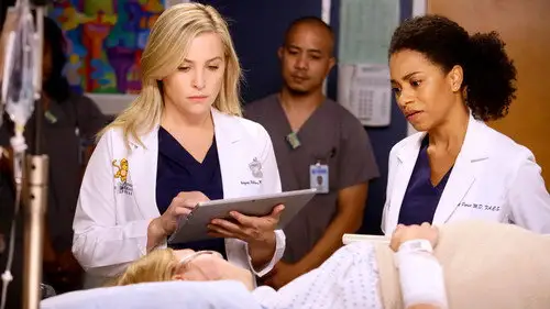 Anatomía de Grey Temporada 13 Cap 11 • Español Online