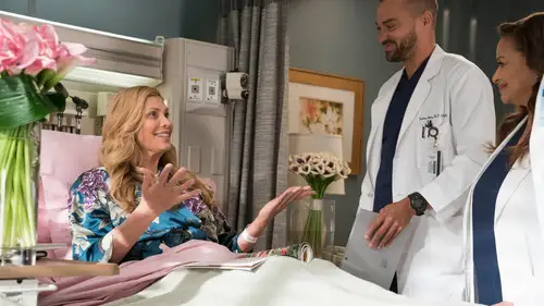 Anatomía de Grey Temporada 14 Cap 16 • Español Online