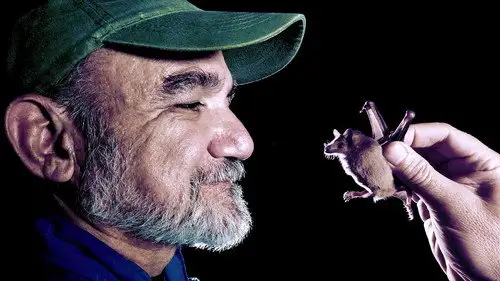 Mundo Natural Temporada 34 Episodios 6 • Sub Español