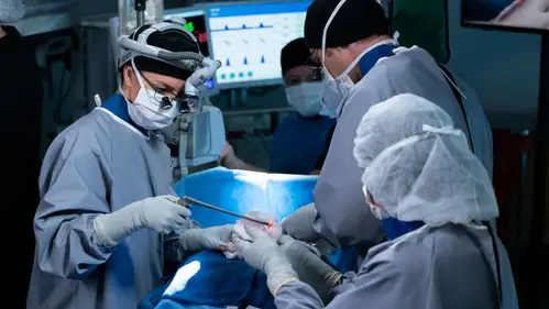 Anatomía de Grey Temporada 15 Cap 21 • Español Online