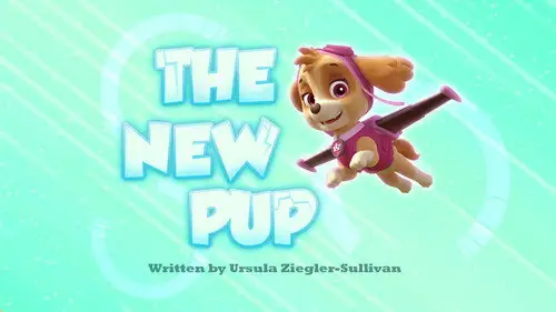 La Patrulla Canina Temporada 2 Episodios 14 • Sub Español