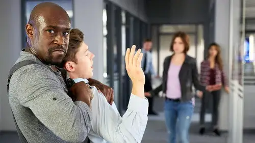 Alerta Cobra Temporada 41 Episodios 6 • Sub Español