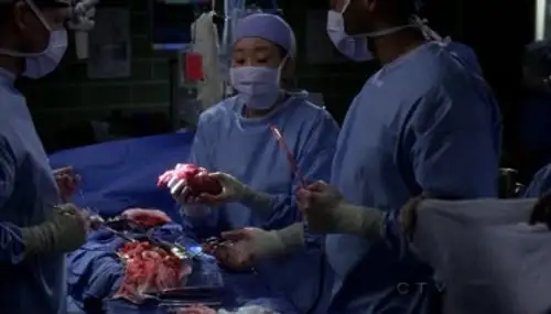 Anatomía de Grey Temporada 7 Episodios 2 • Sub Español