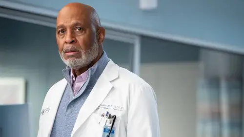 Anatomía de Grey Temporada 20 Episodios 7 • Sub Español