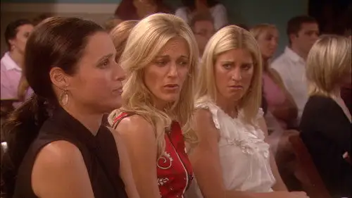 The New Adventures of Old Christine Temporada 3 Episodios 3 • Sub Español