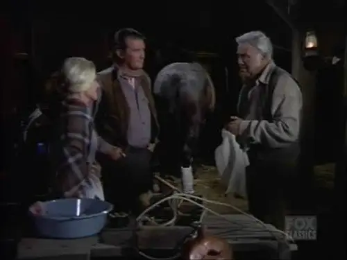 Bonanza Temporada 13 Episodios 17 • Sub Español