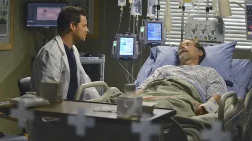 Anatomía de Grey Temporada 10 Episodios 13 • Sub Español