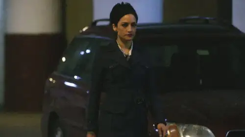 The Good Wife Temporada 2 Episodios 17 • Sub Español
