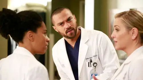 Anatomía de Grey Temporada 13 Cap 12 • Español Online