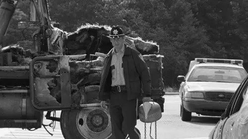 The Walking Dead Temporada 0 Episodios 2 • Sub Español