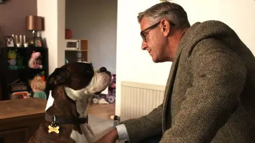 Dogs Behaving (Very) Badly Temporada 2 Episodios 7 • Sub Español
