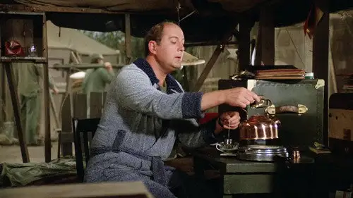 M*A*S*H Temporada 10 Episodios 6 • Sub Español