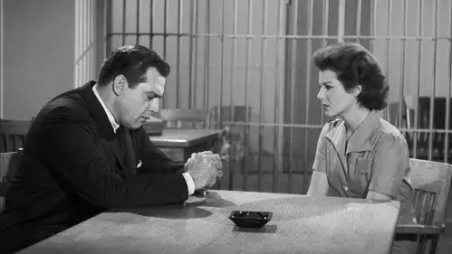 Perry Mason Temporada 3 Episodios 8 • Sub Español