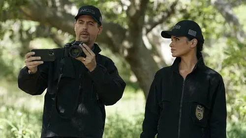 Navy: Investigación criminal Temporada 19 Episodios 21 • Sub Español