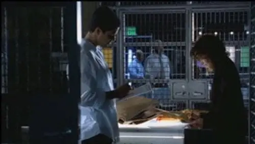 CSI: Miami Temporada 1 Episodios 7 • Sub Español
