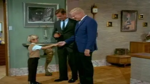 Family Affair Temporada 2 Episodios 12 • Sub Español