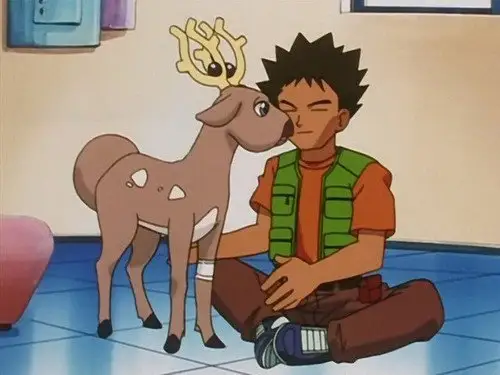 Pokémon Temporada 3 Episodios 9 • Sub Español