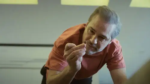 DOC 2026 Temporada 1 Episodios 10 • Sub Español