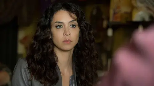 The Blacklist Temporada 2 Episodios 7 • Sub Español