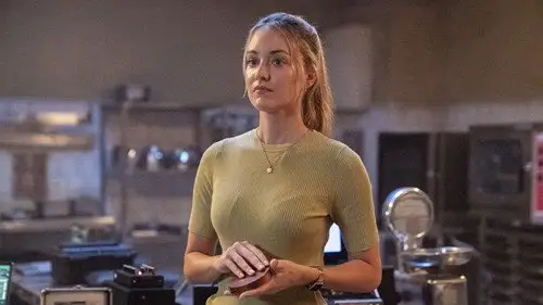 FBI: Internacional Temporada 4 Episodios 4 • Sub Español