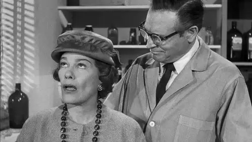 Perry Mason Temporada 4 Episodios 22 • Sub Español