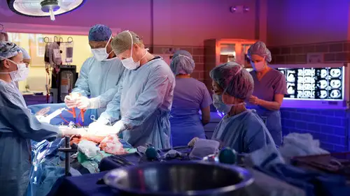 Anatomía de Grey Temporada 13 Cap 8 • Español Online