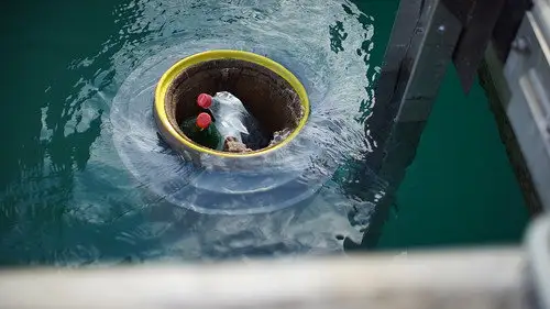 Foreign Correspondent S26E6 • Oglądaj Online