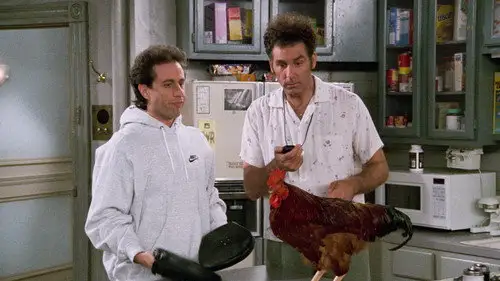 Seinfeld Temporada 8 Cap 11 • Español Online