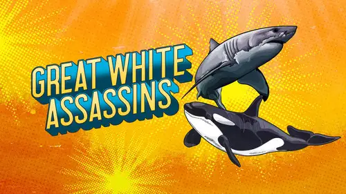 Shark Week S38E3 • Oglądaj Online