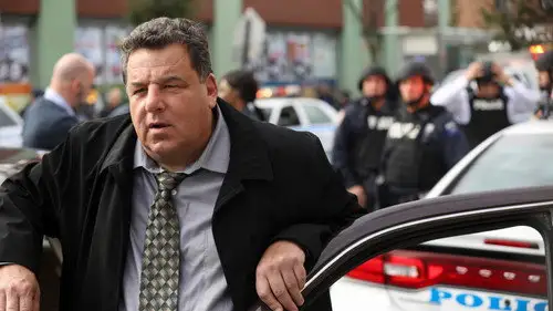 Familia de policías Temporada 8 Episodios 11 • Sub Español
