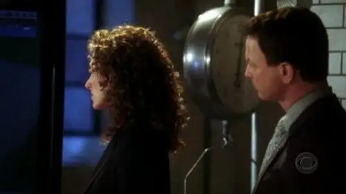 CSI: Nueva York Temporada 1 Episodios 16 • Sub Español