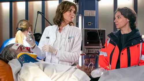 Hamburgo 112 Temporada 18 Episodios 11 • Sub Español