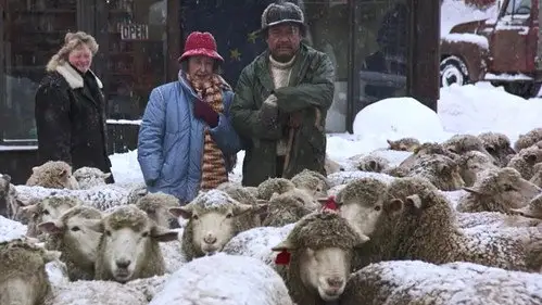 Doctor en Alaska Temporada 4 Episodios 16 • Sub Español