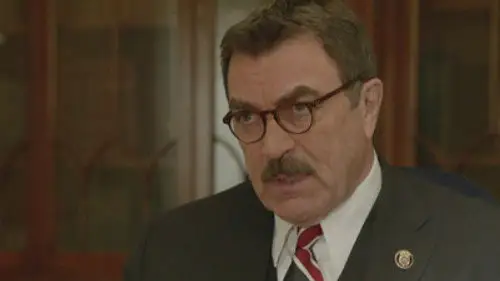 Familia de policías Temporada 2 Episodios 14 • Sub Español
