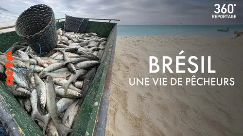 ARTE 360° Reportage Temporada 27 Episodios 7 • Sub Español