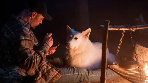 Oxen Temporada 1 Episodios 2 • Sub Español