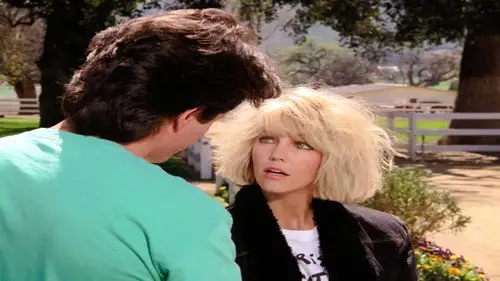 Dinastía 1981 Temporada 9 Episodios 20 • Sub Español