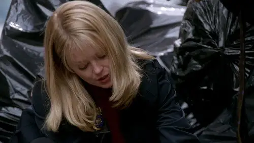 NYPD Blue Temporada 8 Cap 18 • Español Online