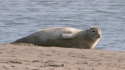 Countryfile S37E20 • Oglądaj Online