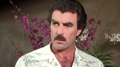 Magnum 1980 Temporada 8 Episodios 4 • Sub Español