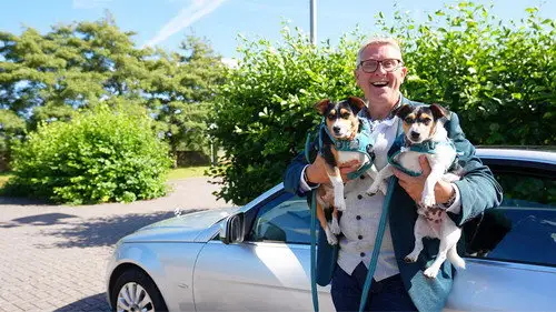 Dogs Behaving (Very) Badly Temporada 7 Episodios 15 • Sub Español
