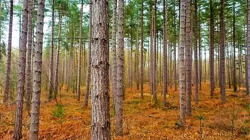 Countryfile S36E14 • Oglądaj Online