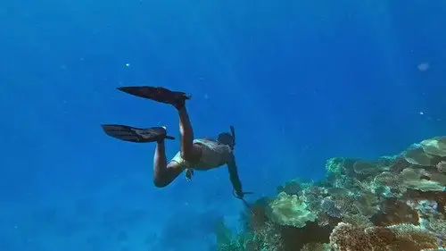 Survivor Temporada 48 Episodios 11 • Sub Español