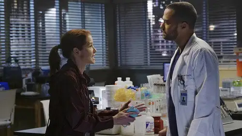 Anatomía de Grey Temporada 12 Episodios 15 • Sub Español