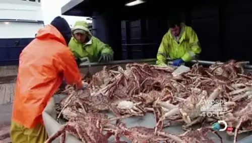 Pesca radical Temporada 7 Episodios 6 • Sub Español