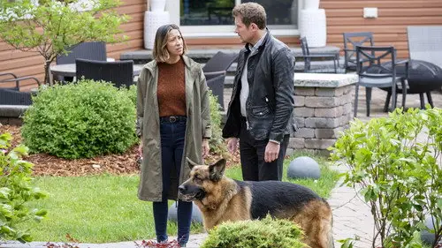 Hudson & Rex Temporada 4 Episodios 2 • Sub Español