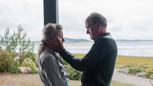 Olive Kitteridge Temporada 1 Episodios 3 • Sub Español
