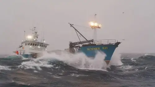 Pesca radical Temporada 15 Episodios 15 • Sub Español