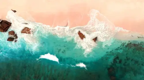 Shark Week S33E15 • Oglądaj Online