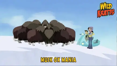 Los Hermanos Kratt Temporada 4 Episodios 24 • Sub Español